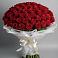 Букет 101 Красная роза Блэк Мэджик в Засечном