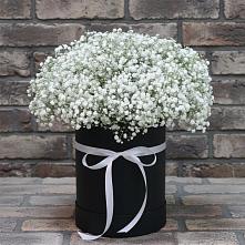 Цветочная композиция из Гипсофила в шляпной коробке в Засечном