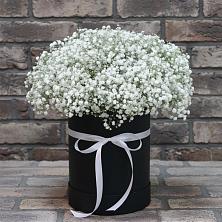 Цветочная композиция из Гипсофила в шляпной коробке в Засечном